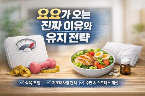 다이어트 후 요요가 오는 진짜 이유와 덜 찌는 유지 전략